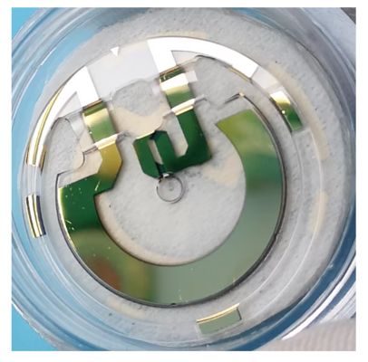 Premium Quality Flexible Beam Quartz Pendulum  Gold Coated for High Reflection